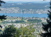 View of Zurich from Falsenegg cable car ride